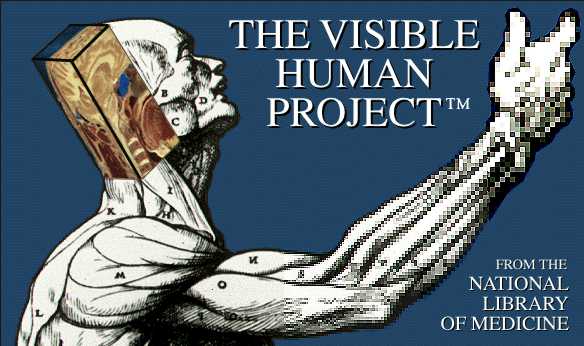 The Visible Human
